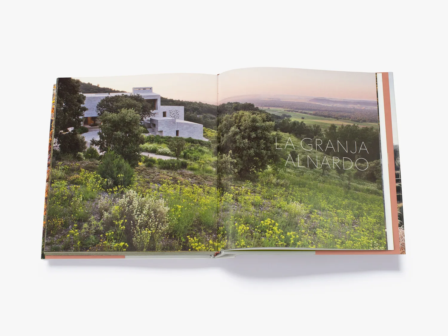 Thames & Hudson Tom Stuart-Smith bog havedesign 24 projekter