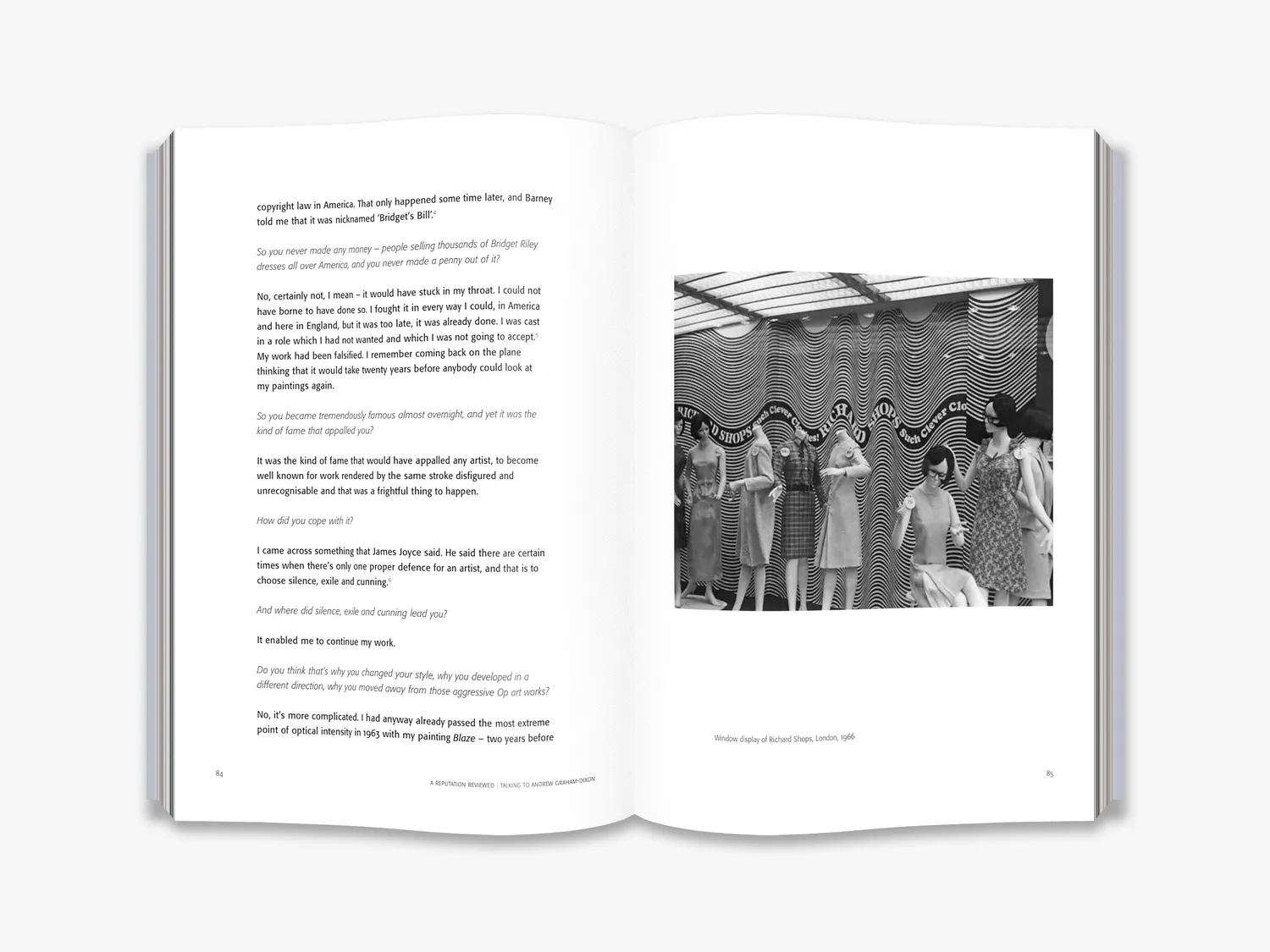 Thames & Hudson Bridget Riley Dialogues bog samtaler