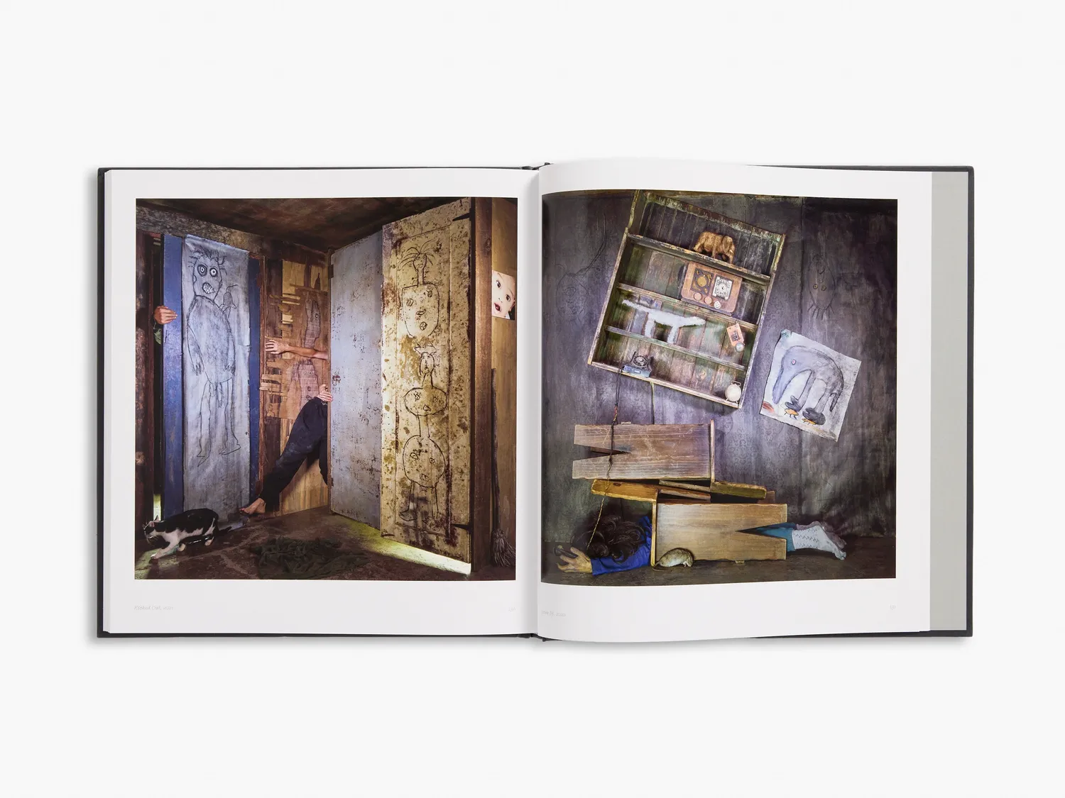 Thames & Hudson Roger Ballen Spirits Spaces fotobog farve