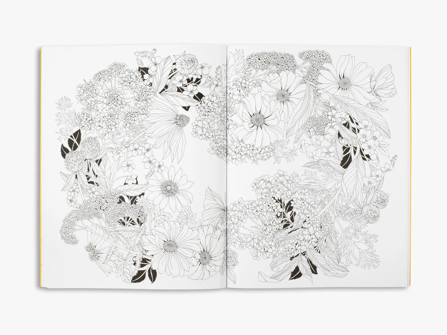 Thames & Hudson Beautiful Planet malebog af Leila Duly