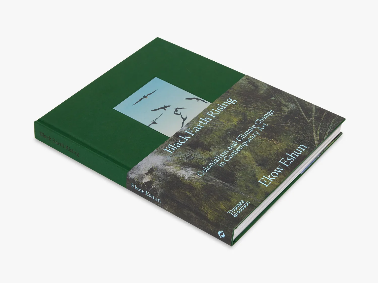 Thames & Hudson Black Earth Rising bog samtidskunst klima