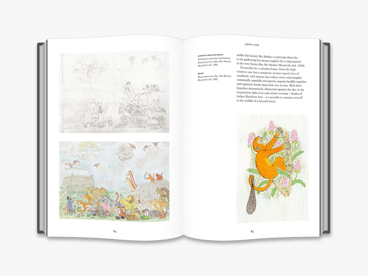 Thames & Hudson Judith Kerr illustratorbog The Illustrators