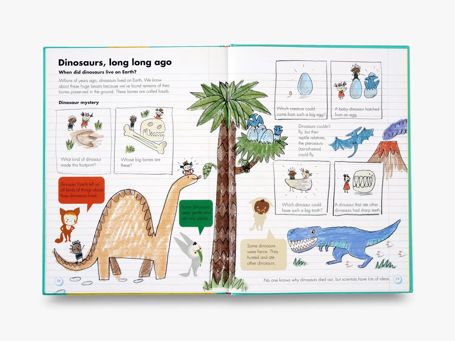 My Animal Book børnebog om dyr fra 5 år