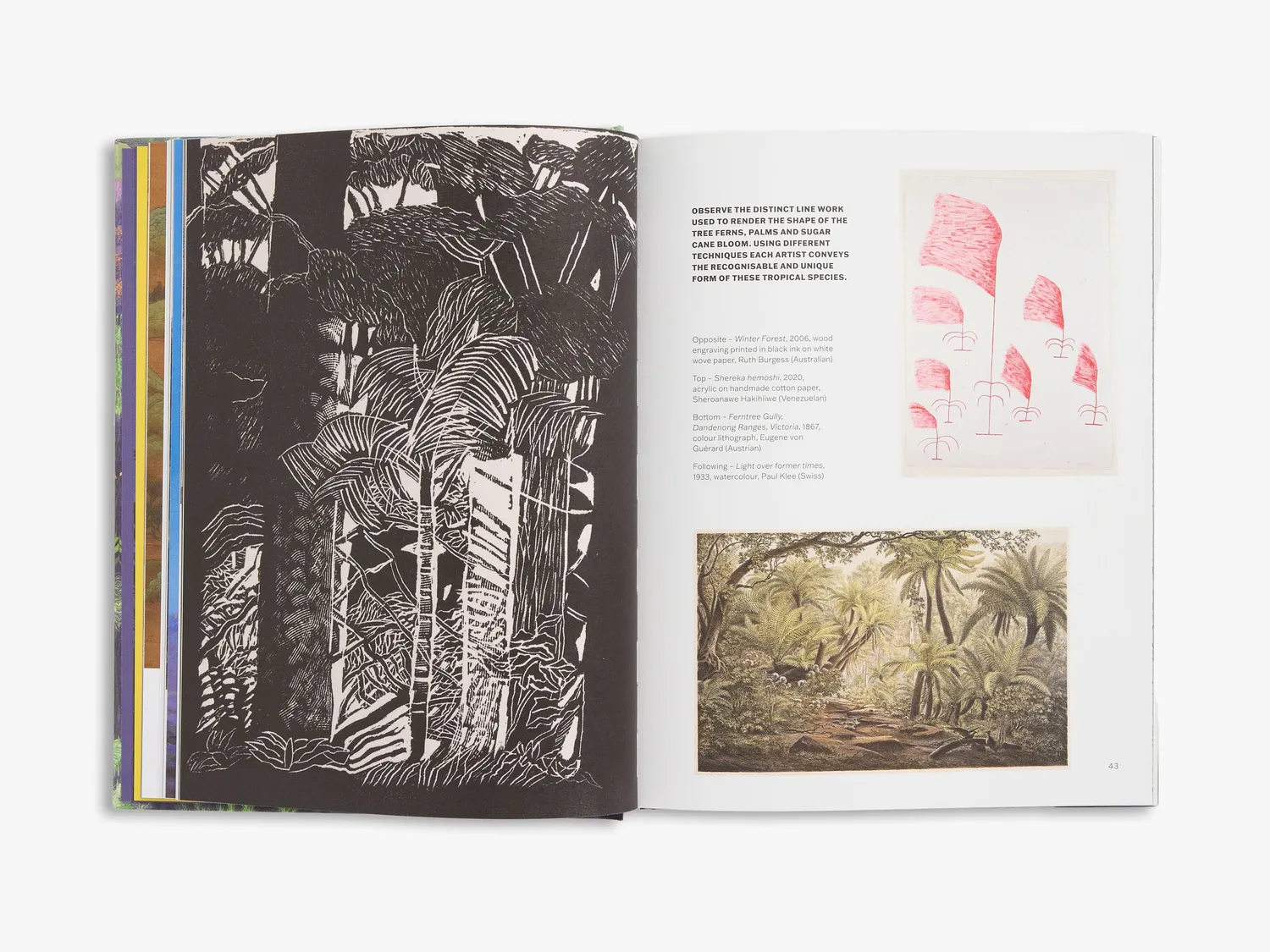 Thames & Hudson Slow Looking bog om kunst og natur