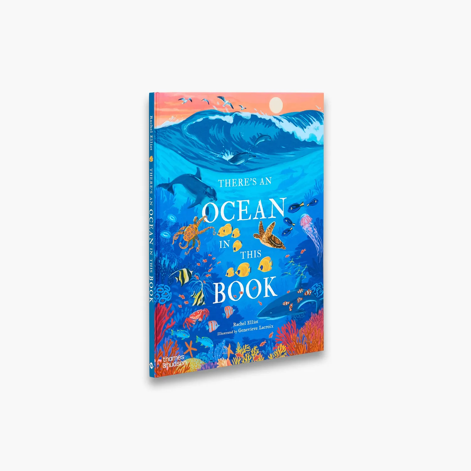 Thames & Hudson There's an Ocean in This Book børnebog om havet