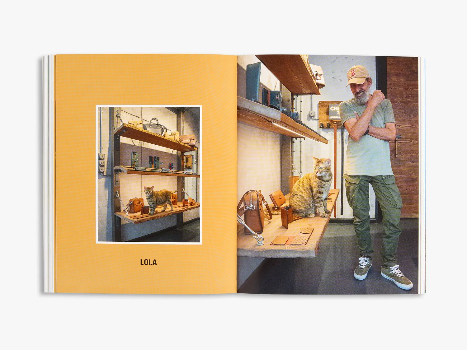 Thames & Hudson City Cats of Istanbul fotobog illustreret