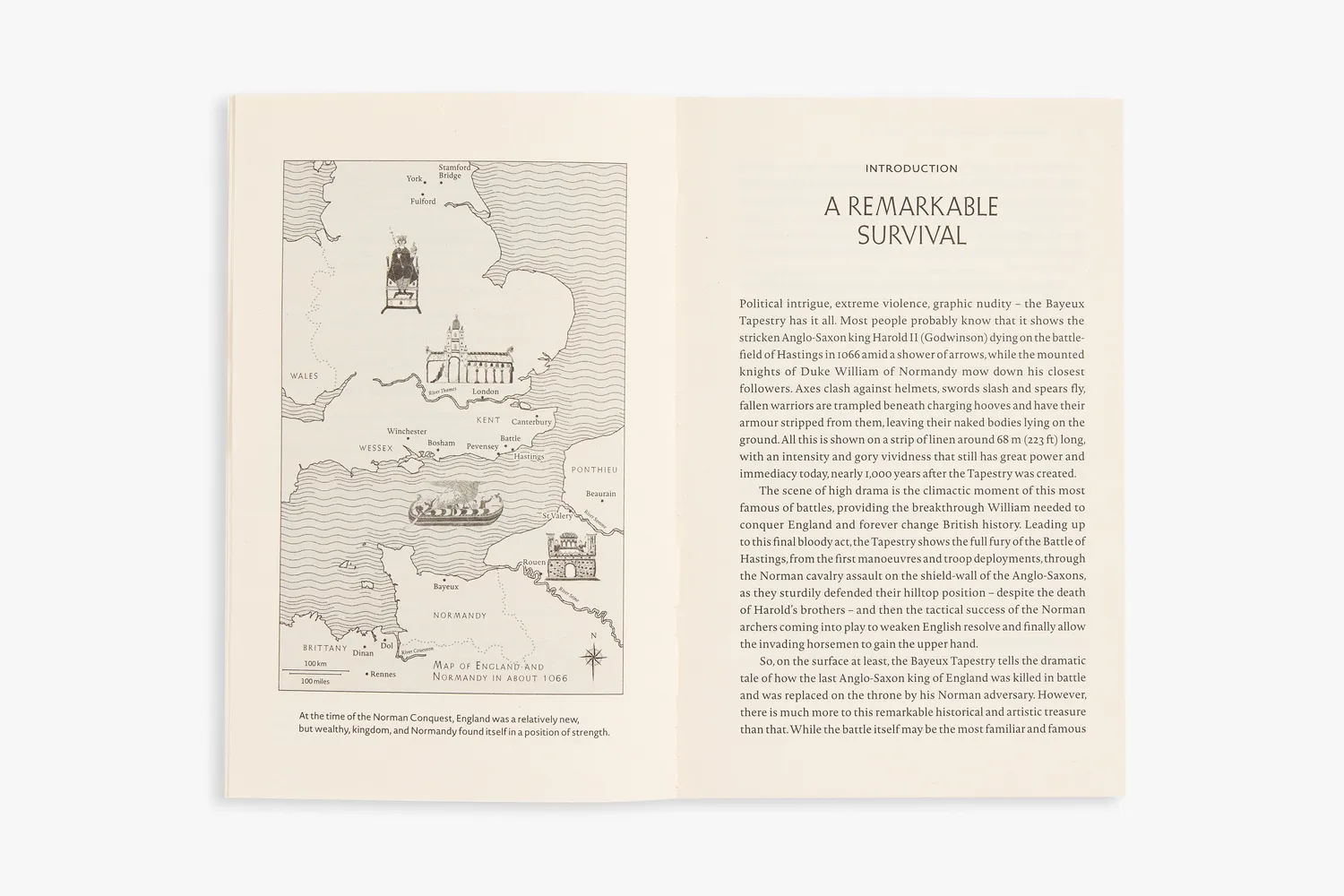 Thames & Hudson The Story of the Bayeux Tapestry bog
