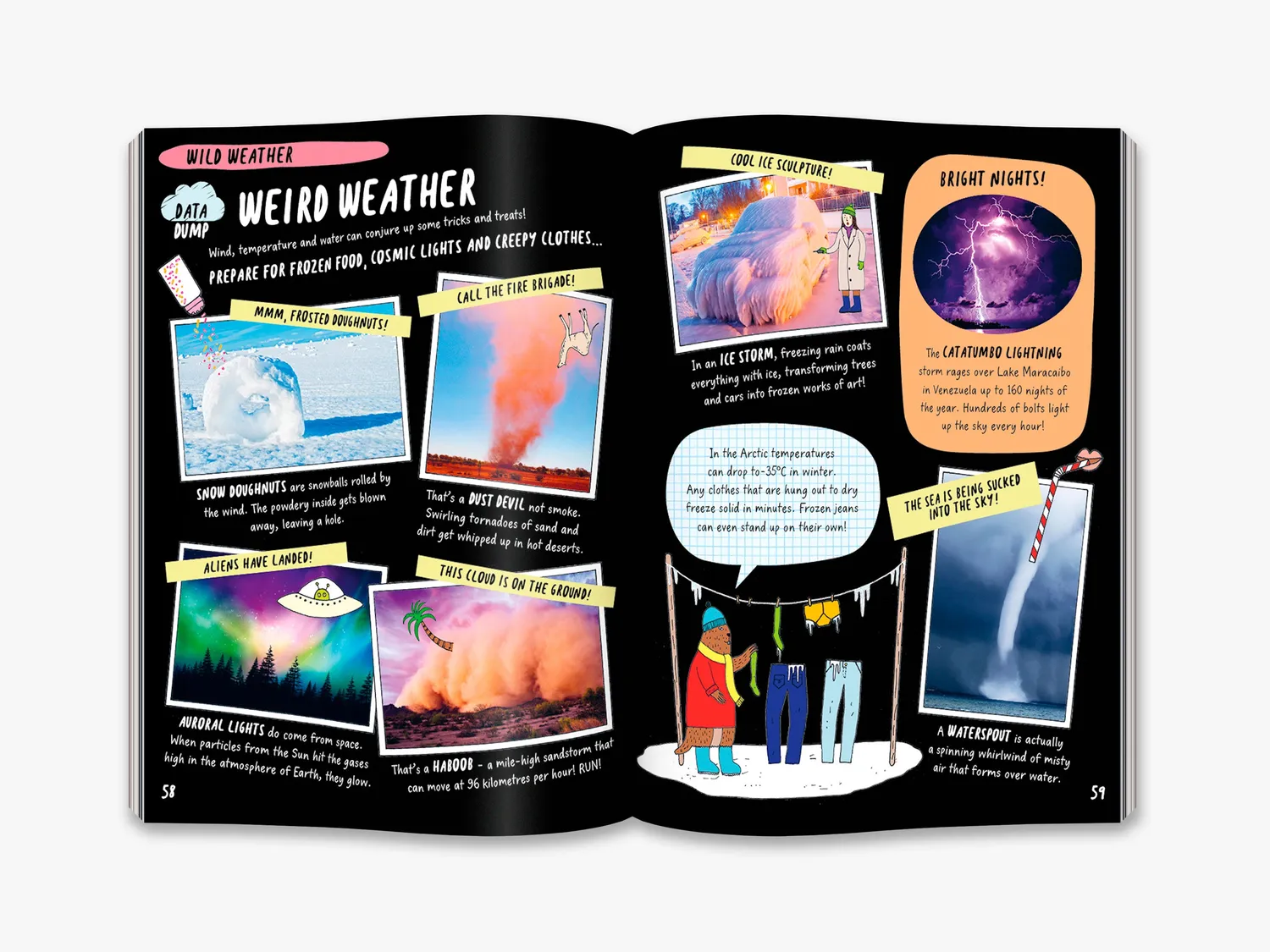 Thames & Hudson The Brainiac's Book of the Climate and Weather bog