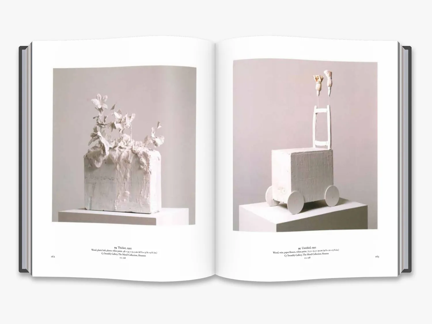 Thames & Hudson The Essential Cy Twombly bog monografi