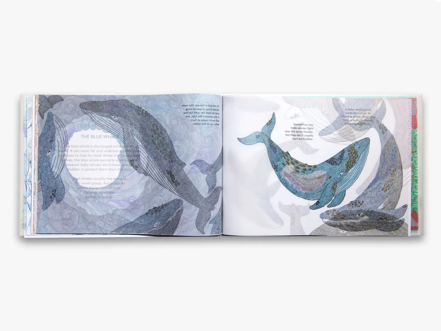 Thames & Hudson Amazing Animal Babies børnebog illustreret