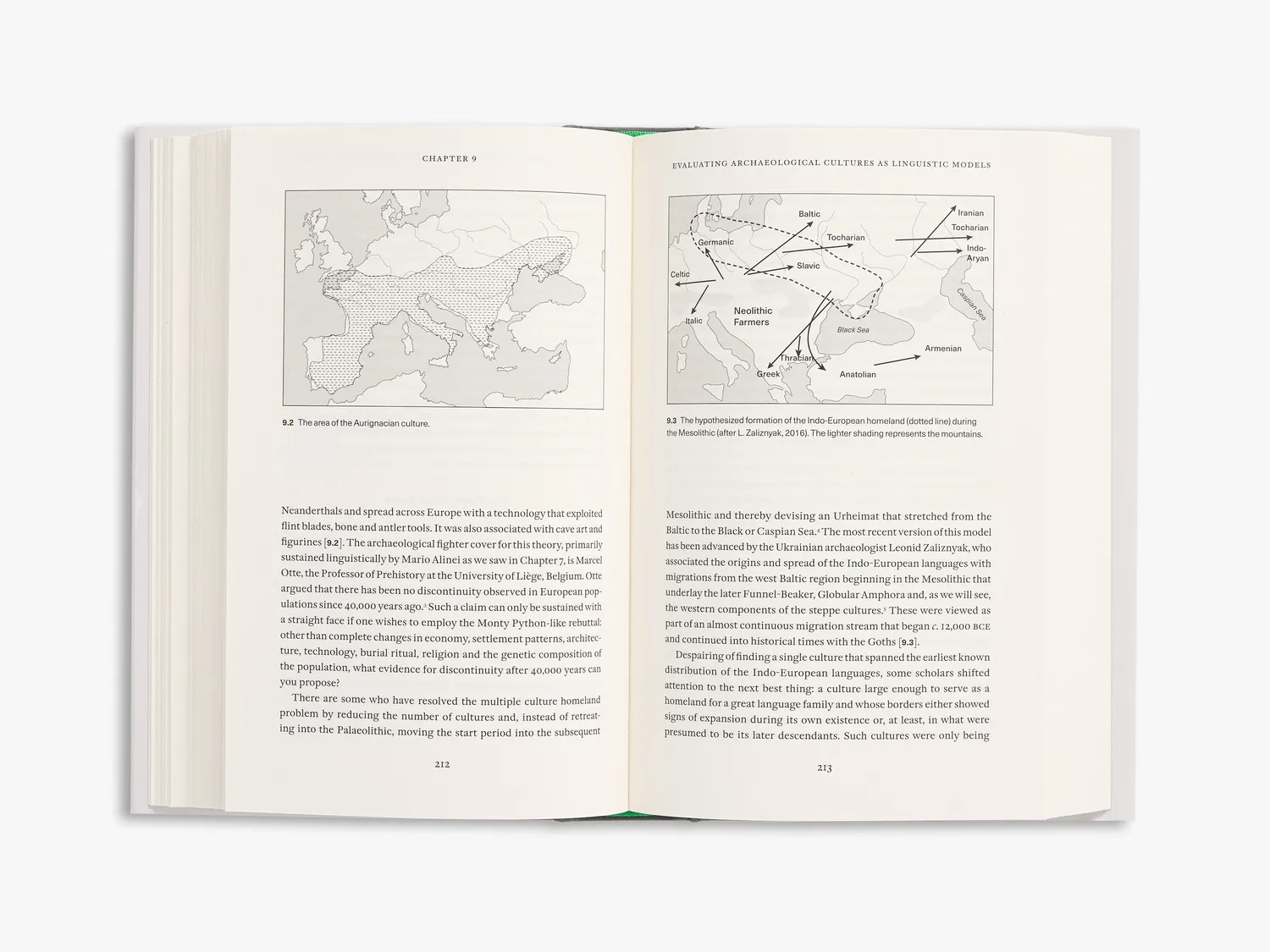 Thames & Hudson The Indo-Europeans Rediscovered bog