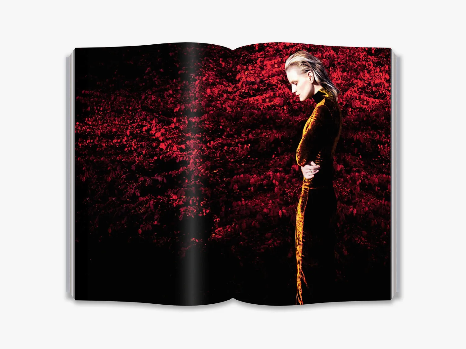 Thames & Hudson Erik Madigan Heck Old Future fotobog illustreret