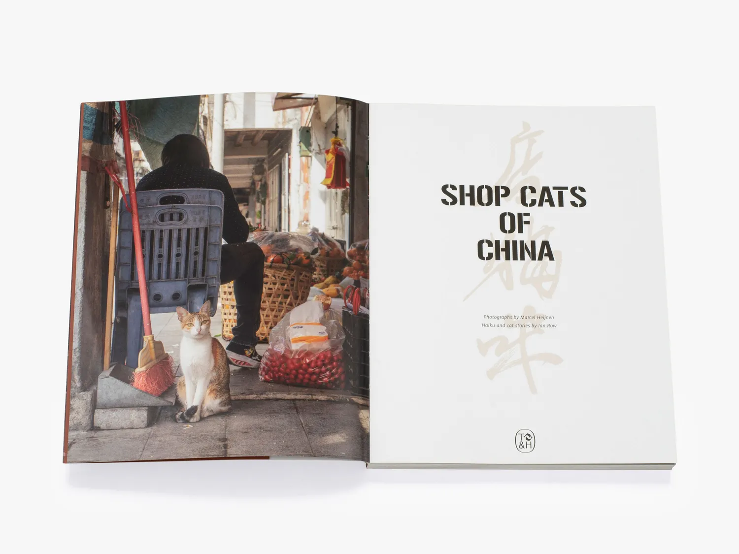 Thames & Hudson Shop Cats of China fotobog katte