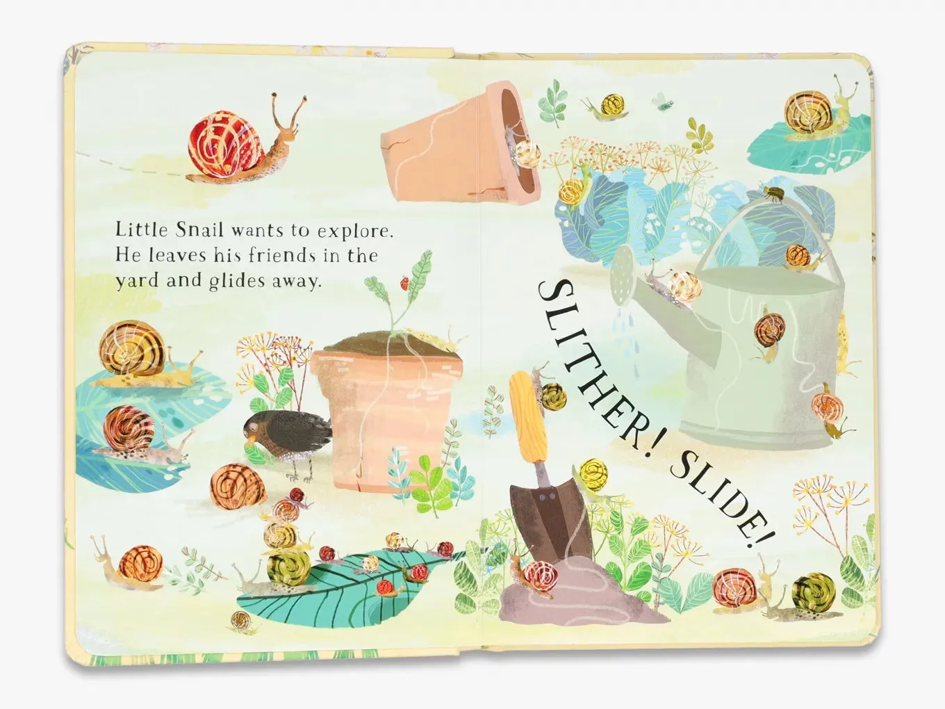 Thames & Hudson Little Snail's Book of Bugs papbog insekter