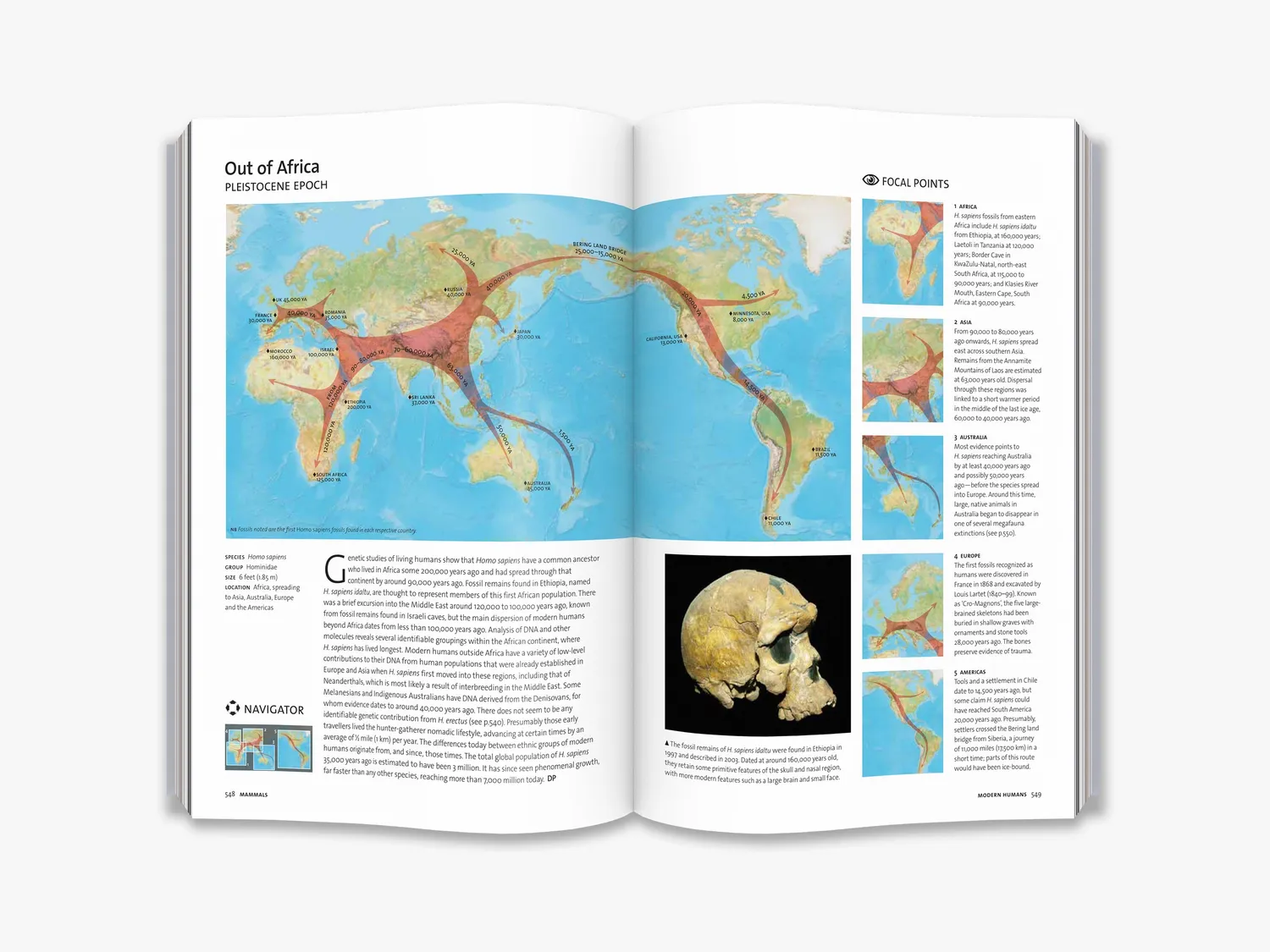 Thames & Hudson Evolution fagbog hele historien illustreret