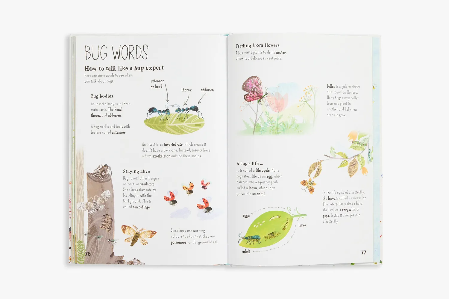 Thames & Hudson The Big Book of Bugs insektbog børn