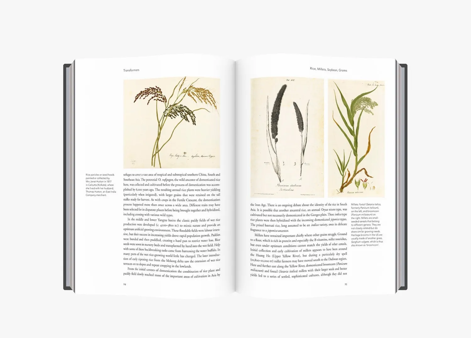 Thames & Hudson Remarkable Plants That Shape Our World bog