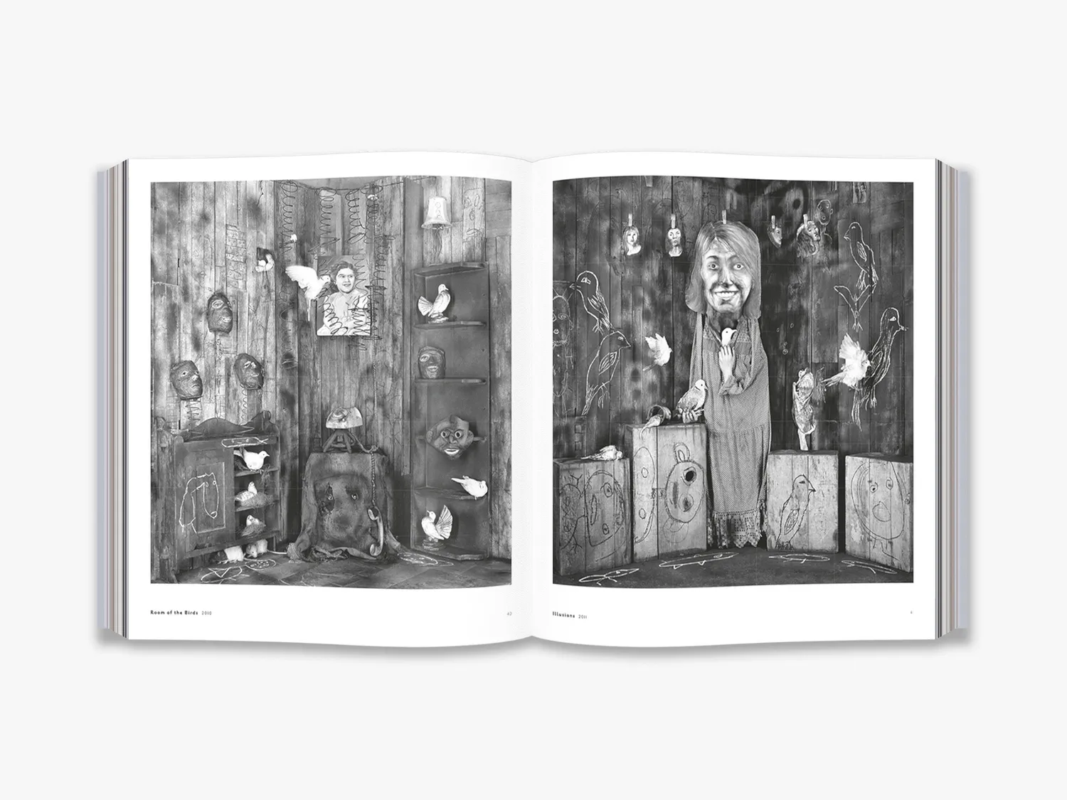 Thames & Hudson Asylum of the Birds fotobog – Ballen