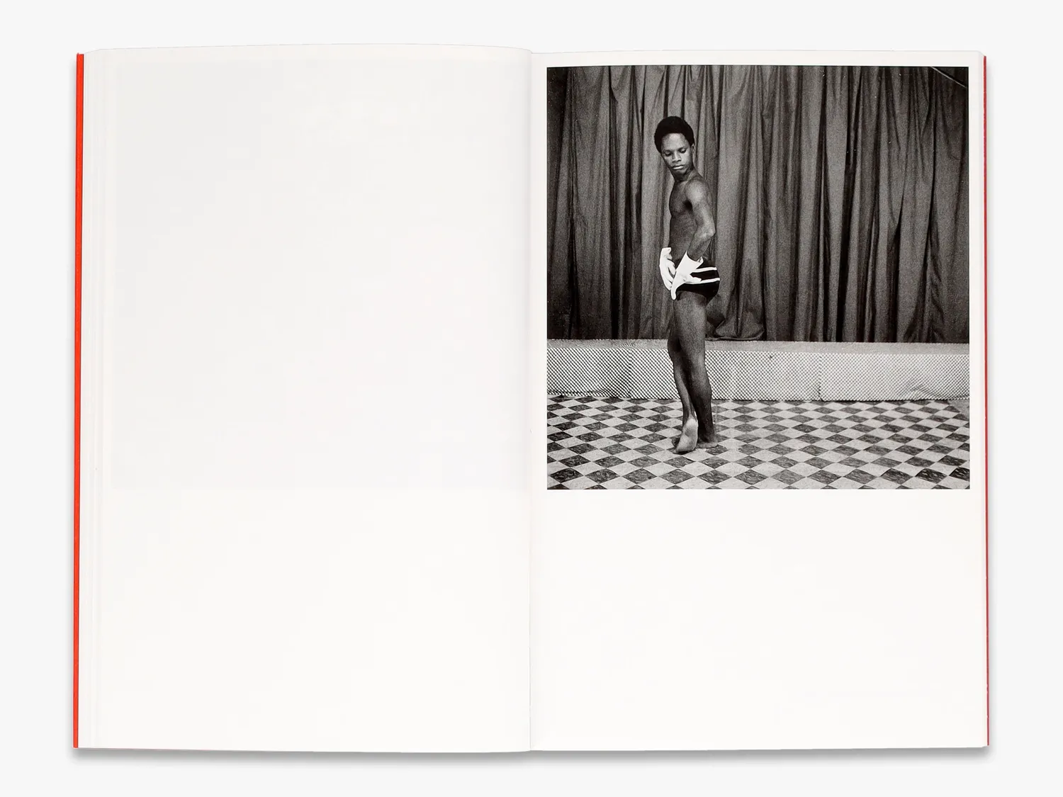 Thames & Hudson Photofile Samuel Fosso bog fotomonografi