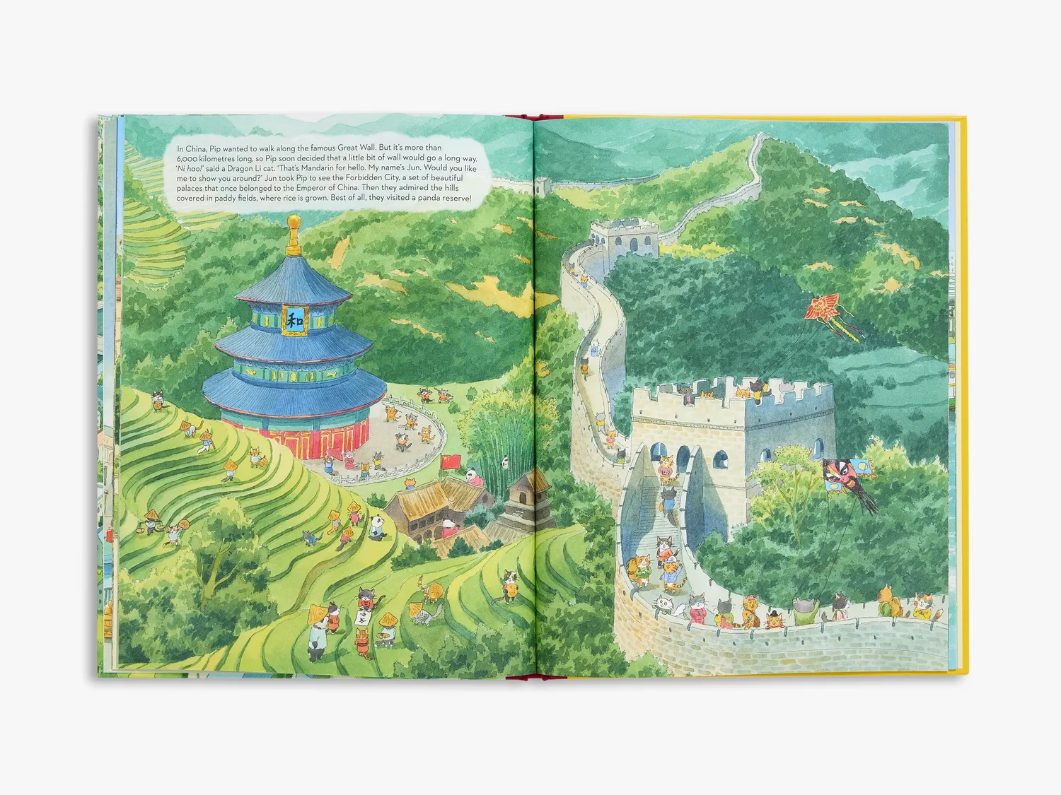 Thames & Hudson Pip's Trip Around the World billedbog illustreret
