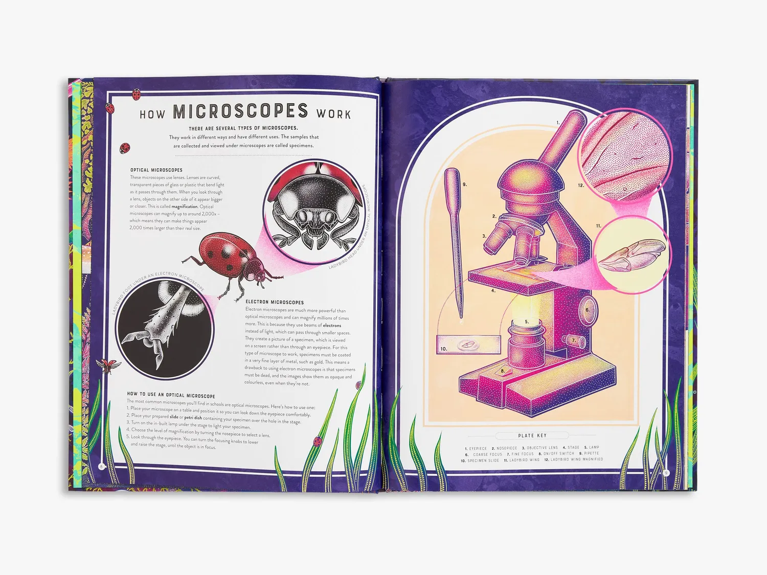 Thames & Hudson Wild Wonders Micro børnebog om mikroliv