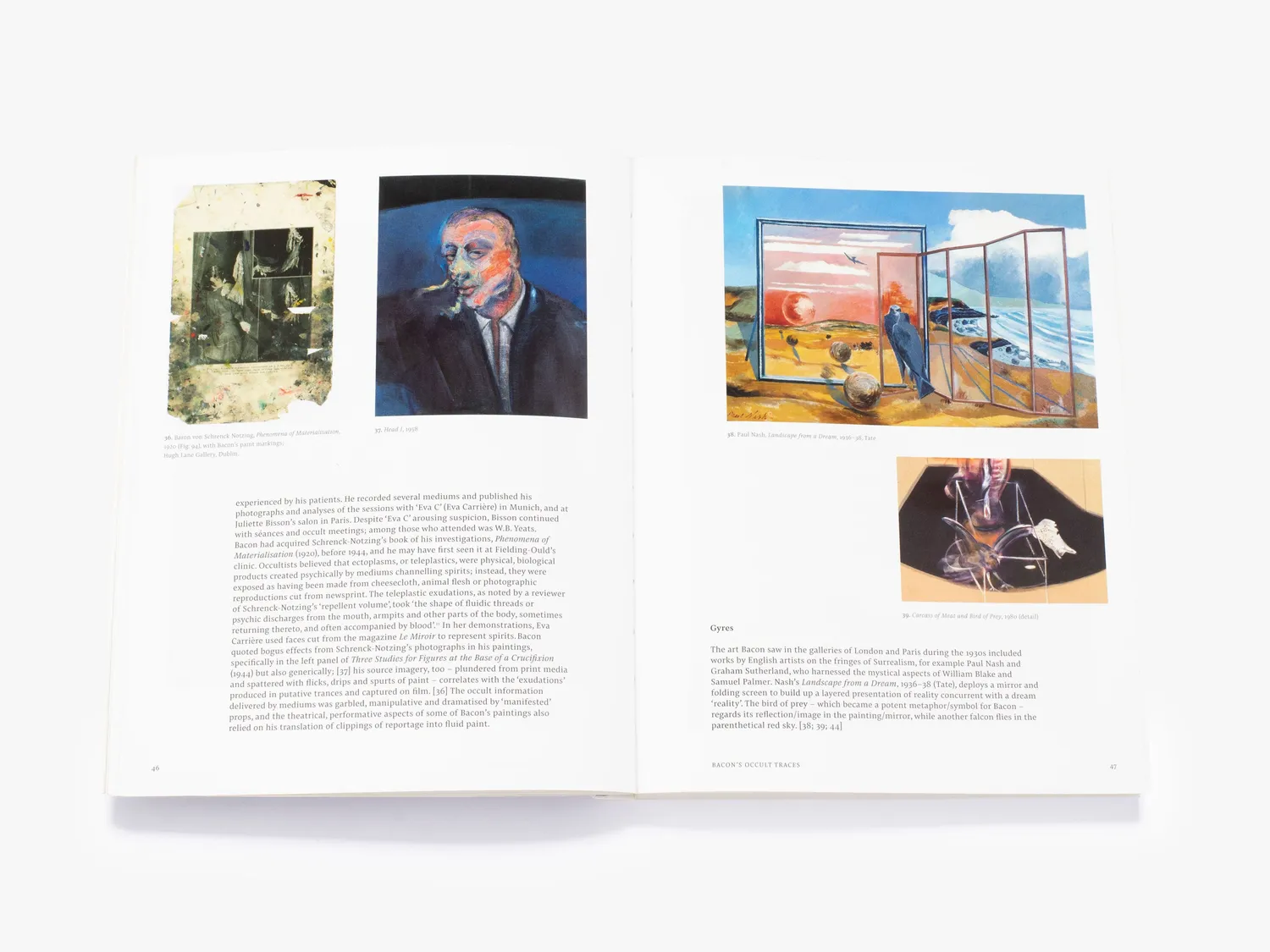 Thames & Hudson Francis Bacon Shadows fagbog Bacon Studies