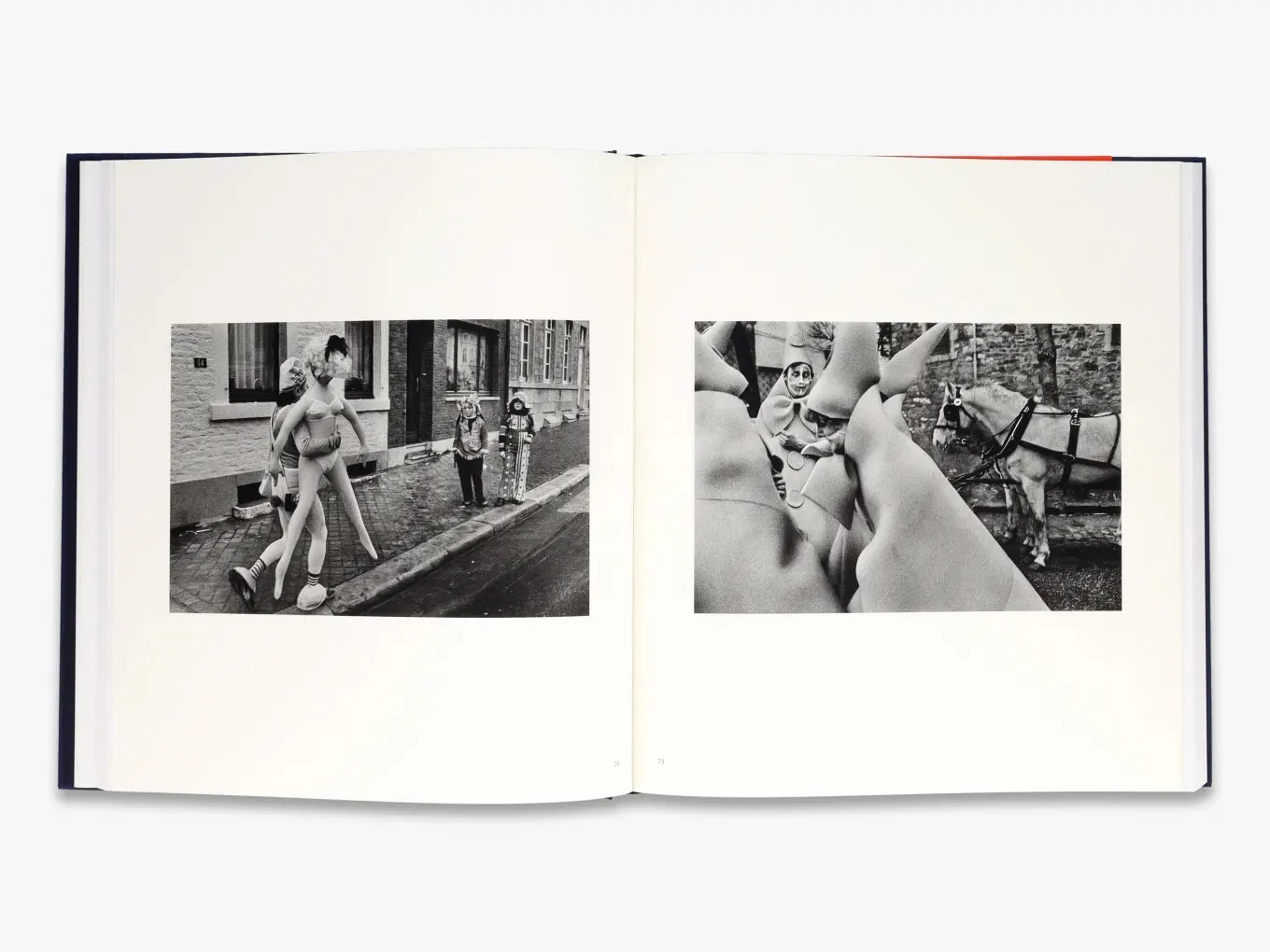 Thames & Hudson Harry Gruyaert: Homeland fotobog Belgien