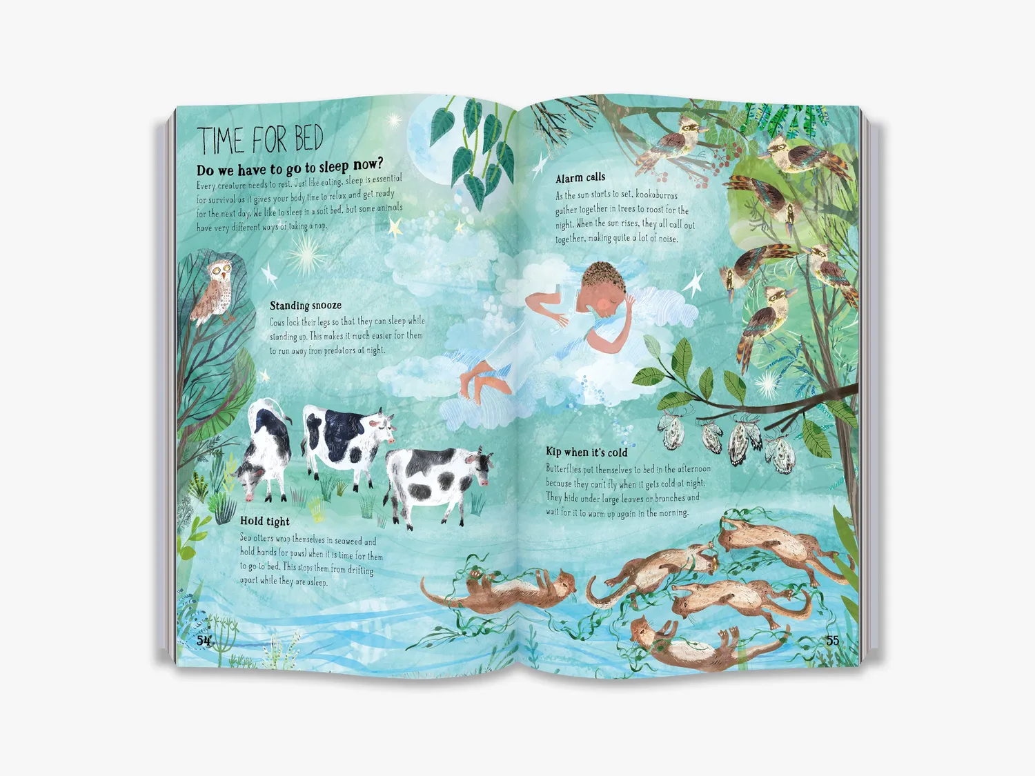 The Big Book series Big Book of Belonging børnebog natur illustreret