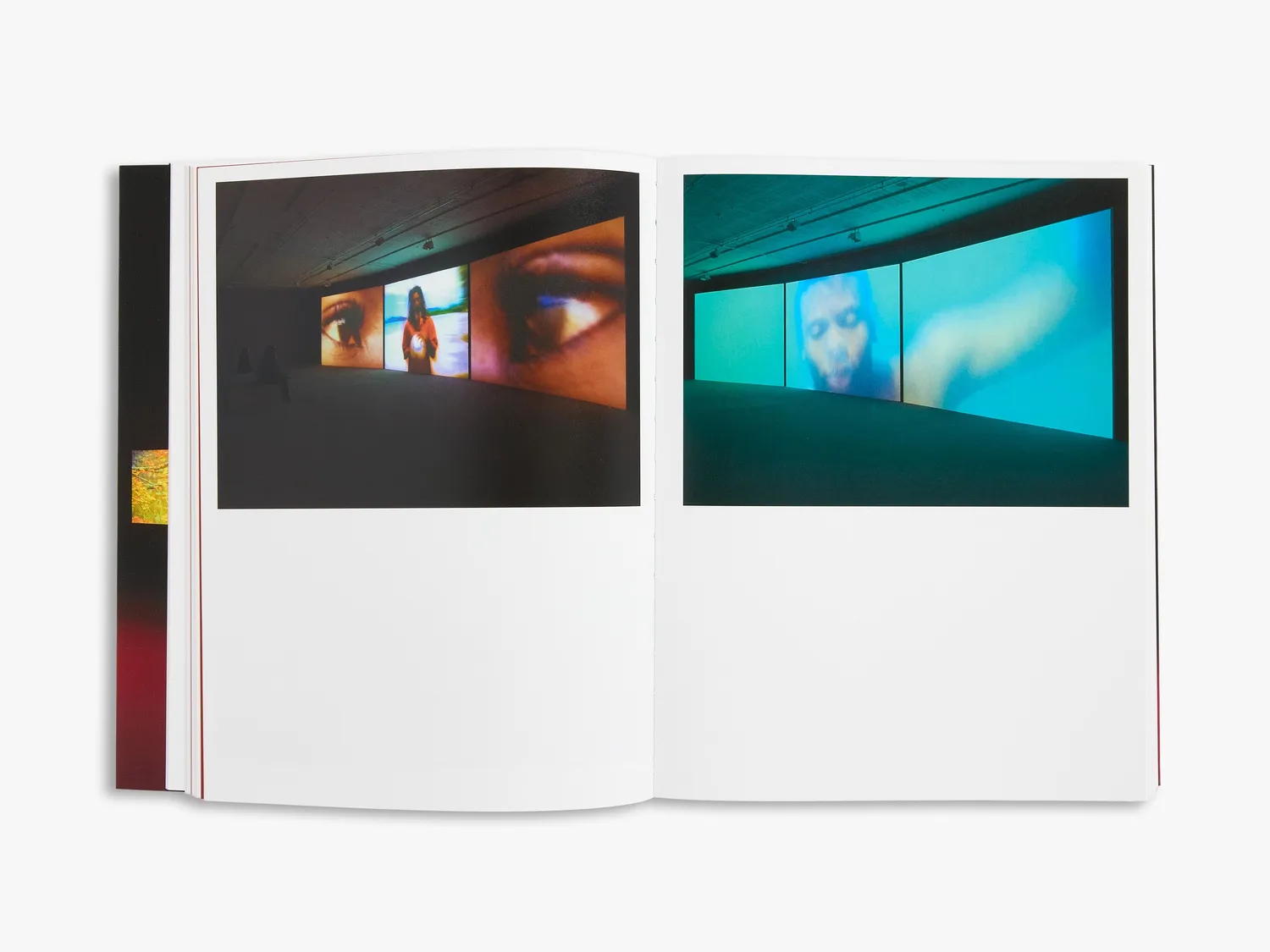Thames & Hudson Isaac Julien kunstbog videokunst