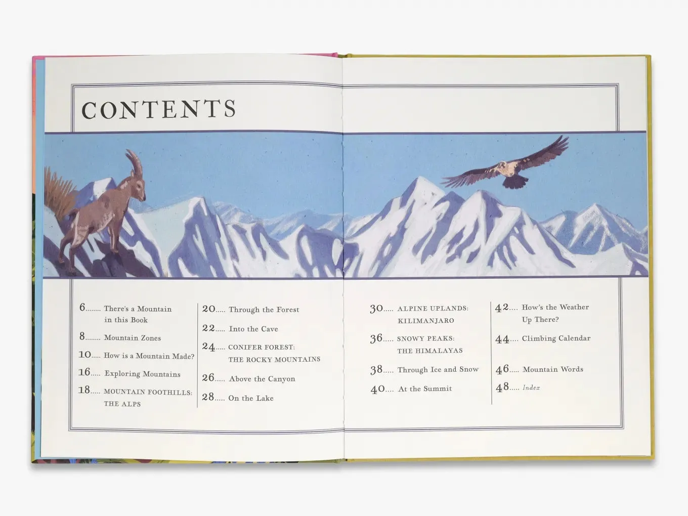 Thames & Hudson Young Explorers There's a Mountain in This Book børnebog