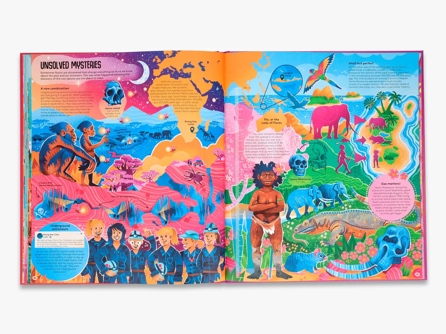 Thames & Hudson Femina Sapiens fagbog illustreret