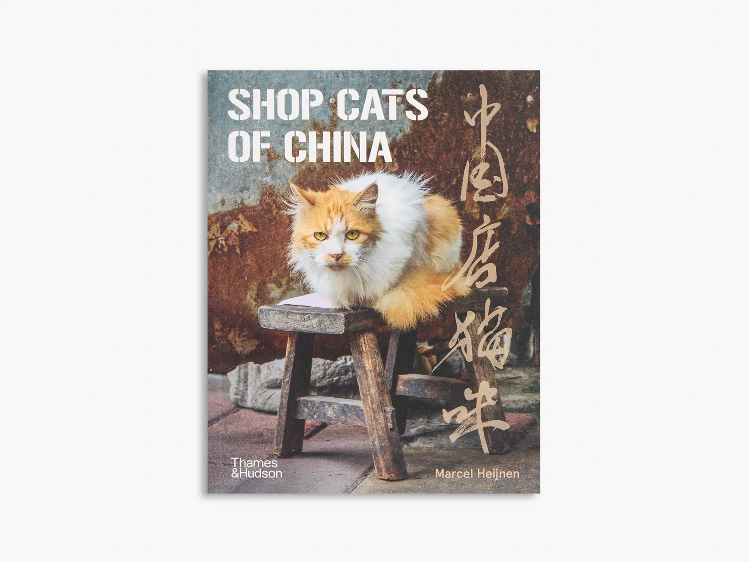 Thames & Hudson Cats of sæt kattebog 3 bind Istanbul