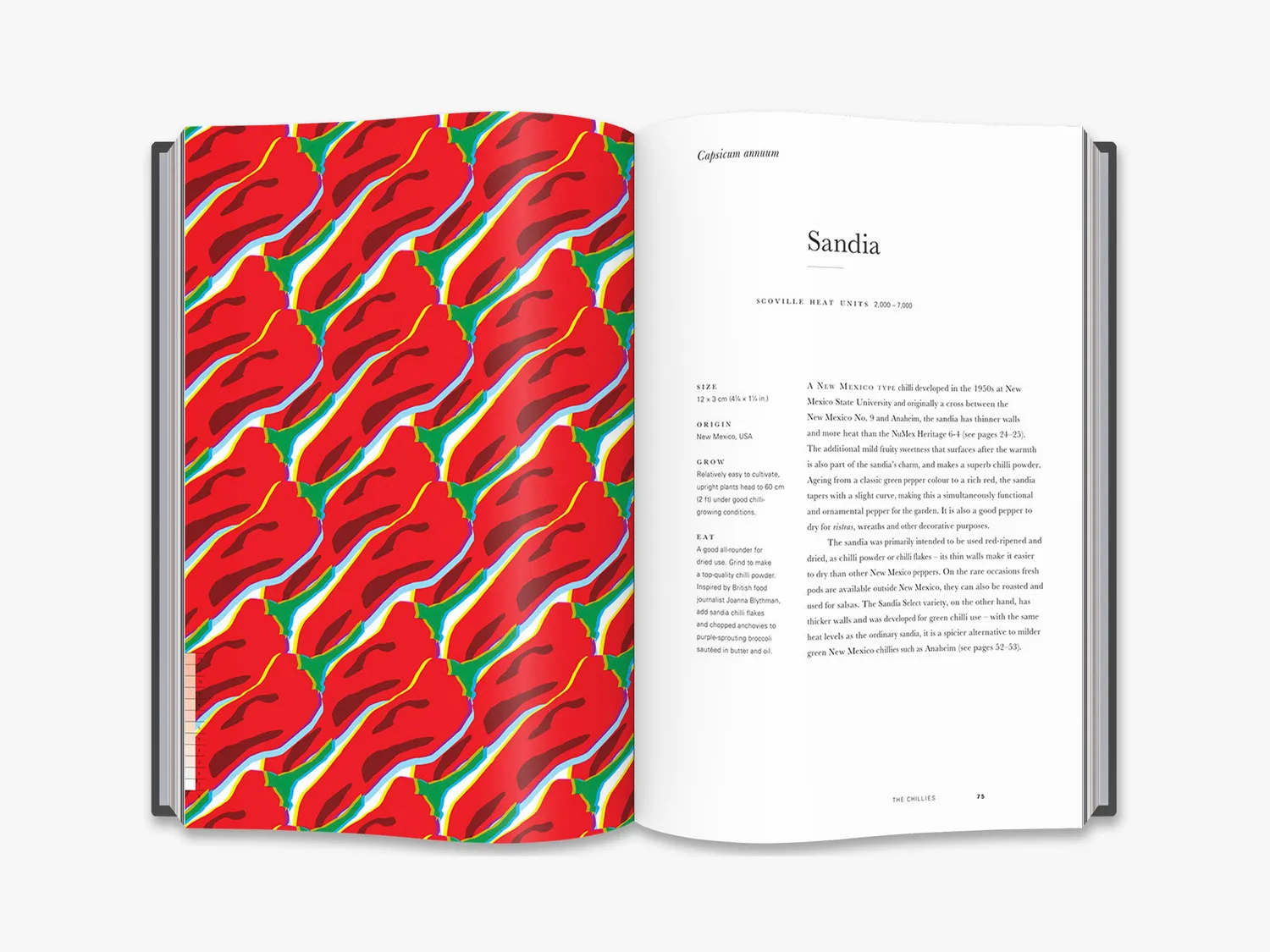 Thames & Hudson An Anarchy of Chillies bog chili kogebog