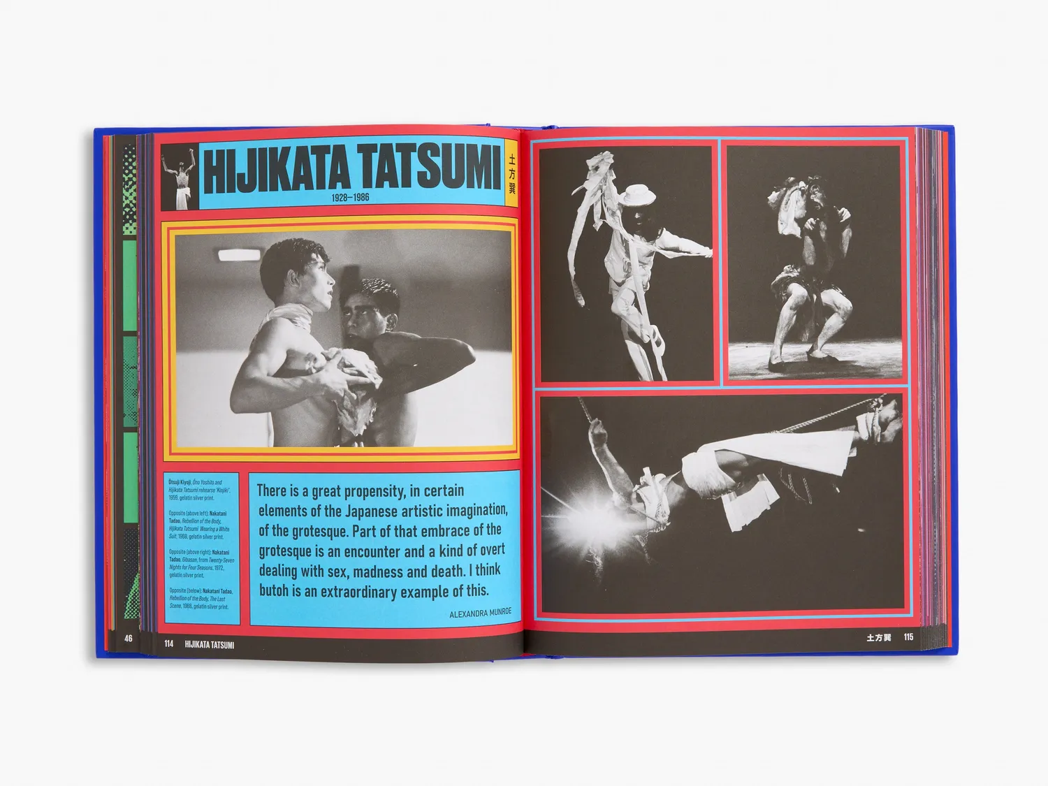 Thames & Hudson Japan Art Revolution bog avantgarde