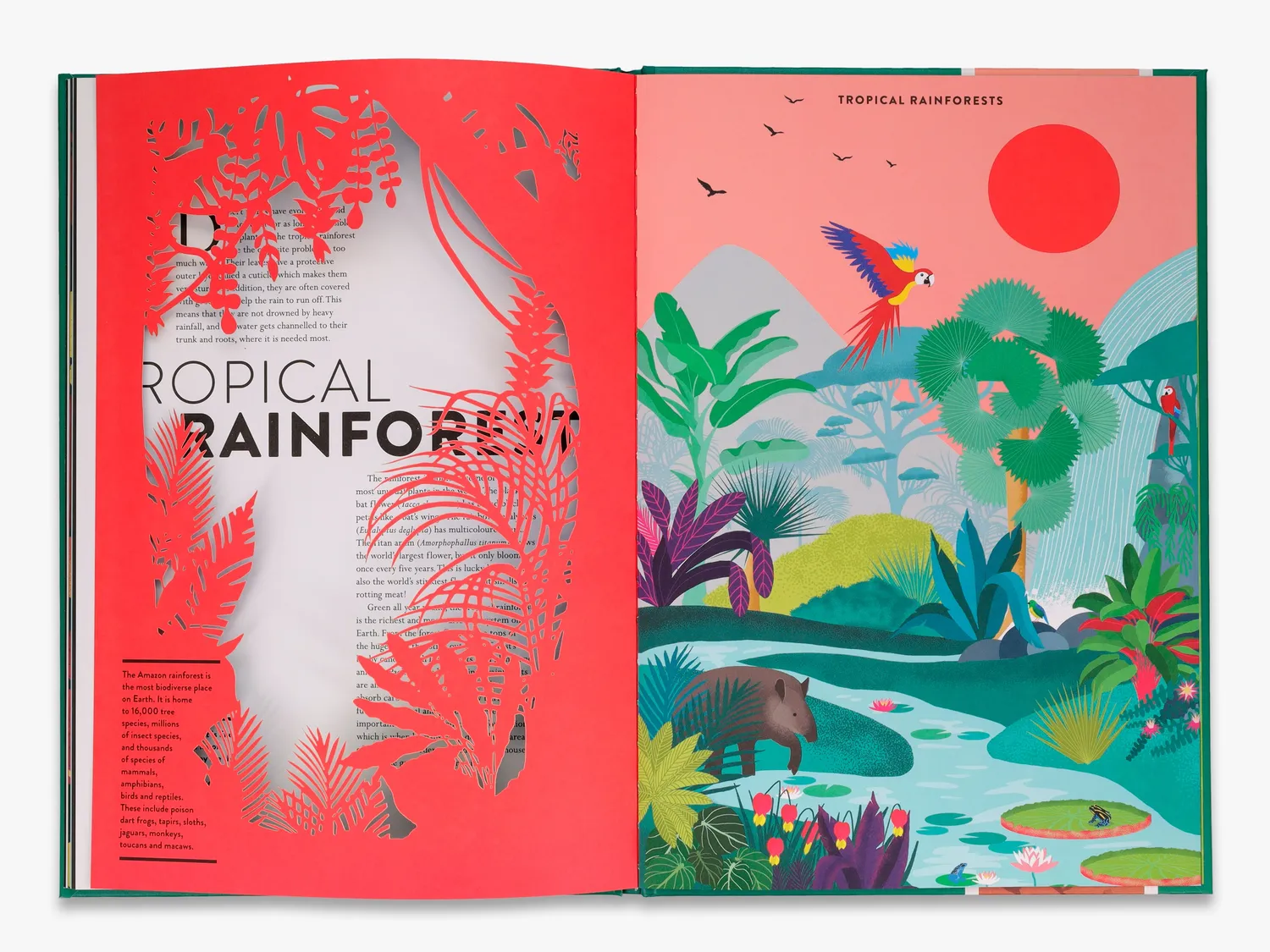 Thames & Hudson Plant Life bog illustreret fakta