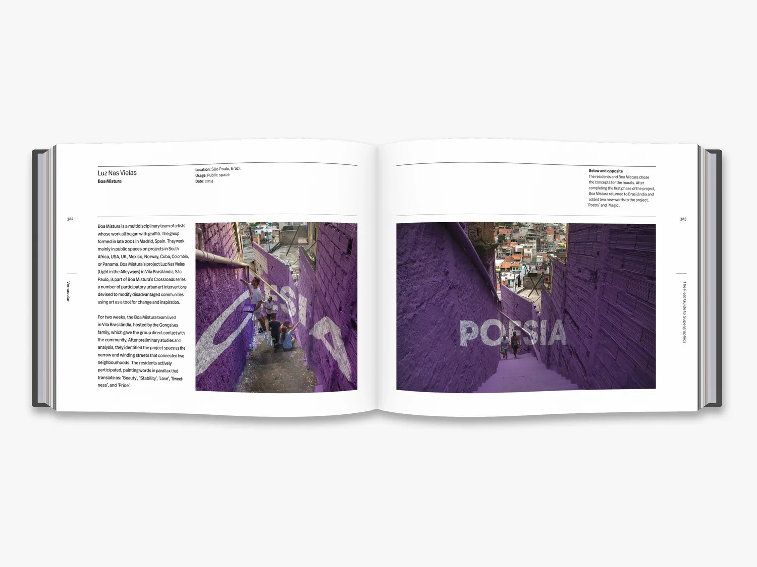 Thames & Hudson Field Guide Supergraphics designbog