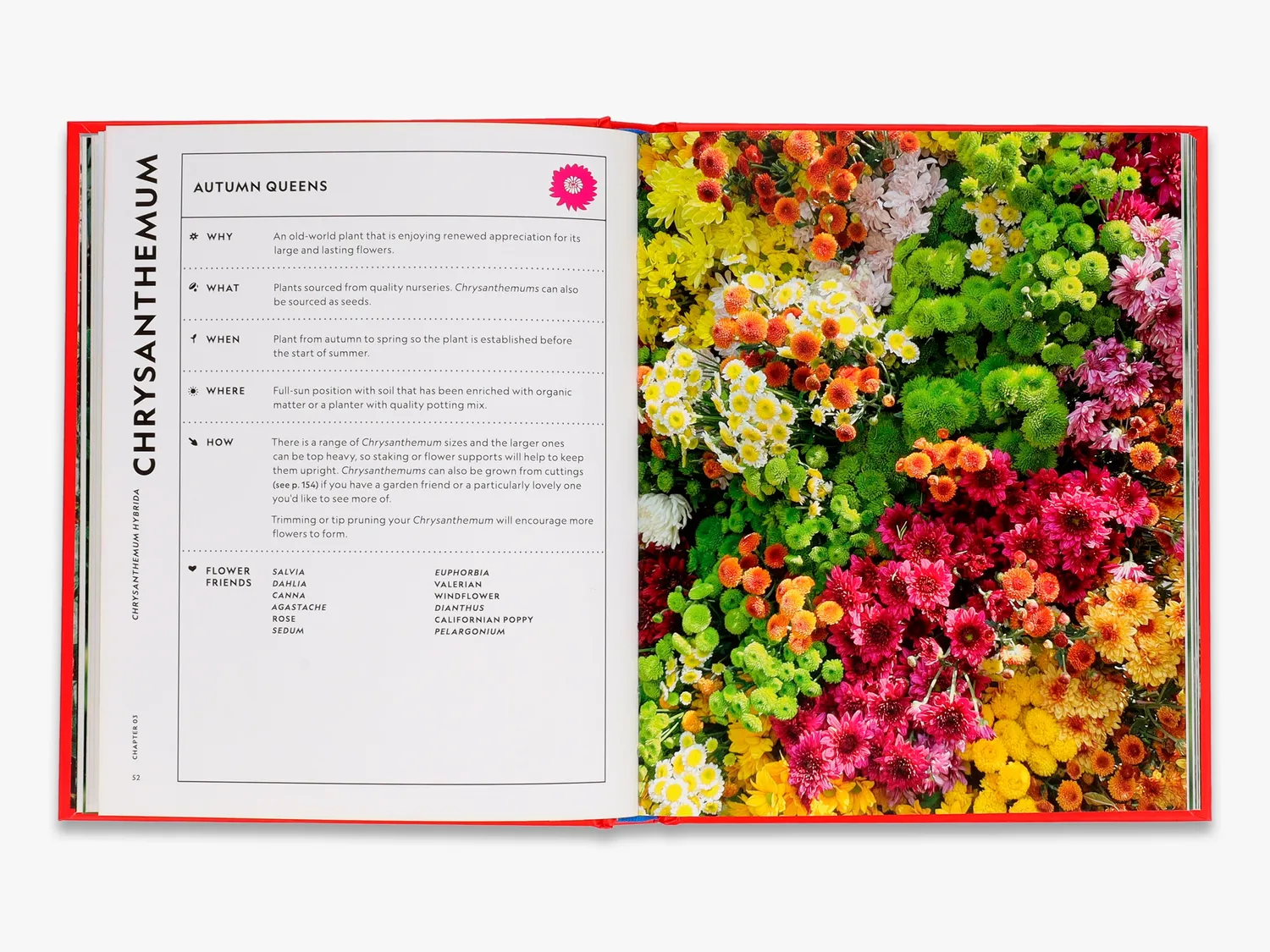 Thames & Hudson Super Bloom Handbook bog blomsterdyrkning