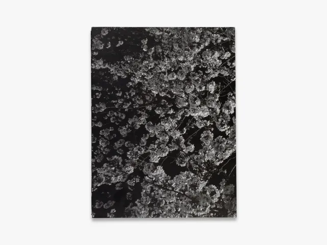 Thames & Hudson Daido Moriyama Record 2 fotobog sort-hvid