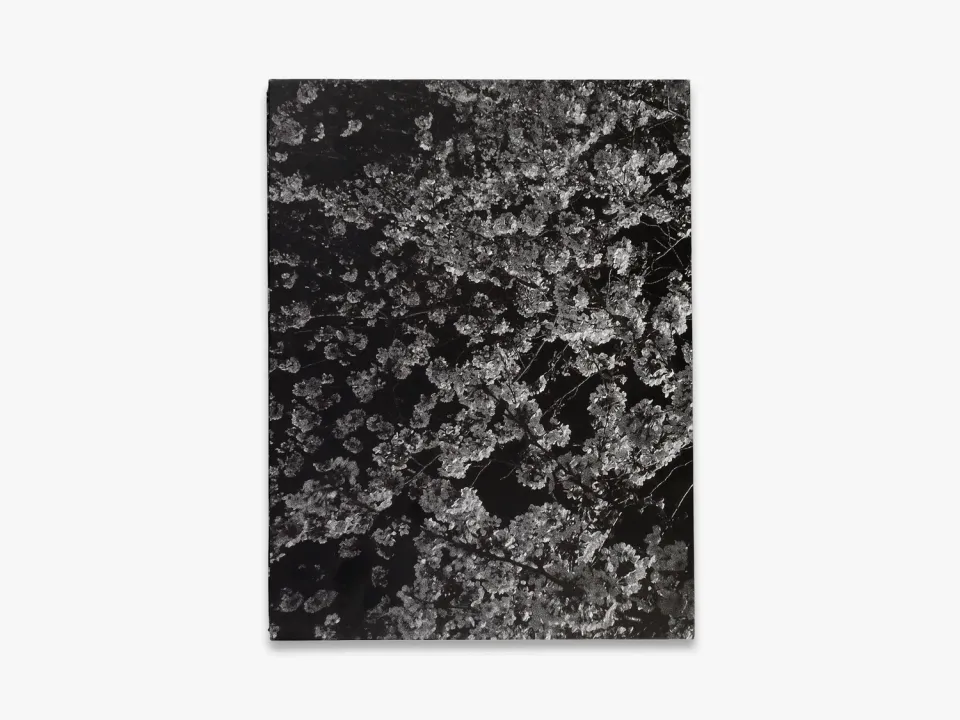 Thames & Hudson Daido Moriyama Record 2 fotobog sort-hvid