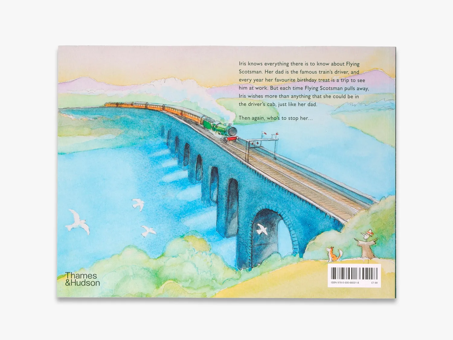 Thames & Hudson Flying Scotsman and the Best Birthday Ever billedbog