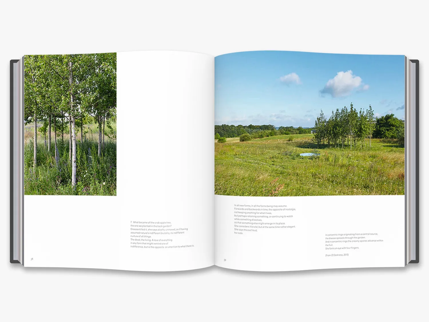 Thames & Hudson Your Glacial Expectations kunstbog Eliasson