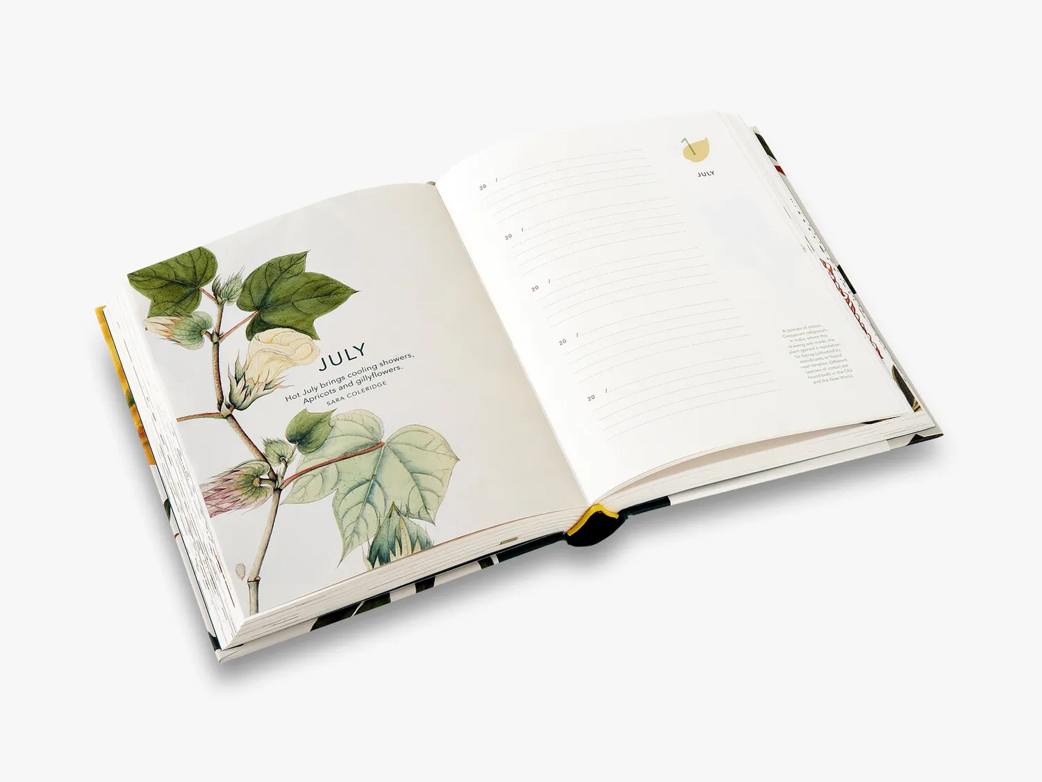 Thames & Hudson Remarkable Plants five-year journal notesbog