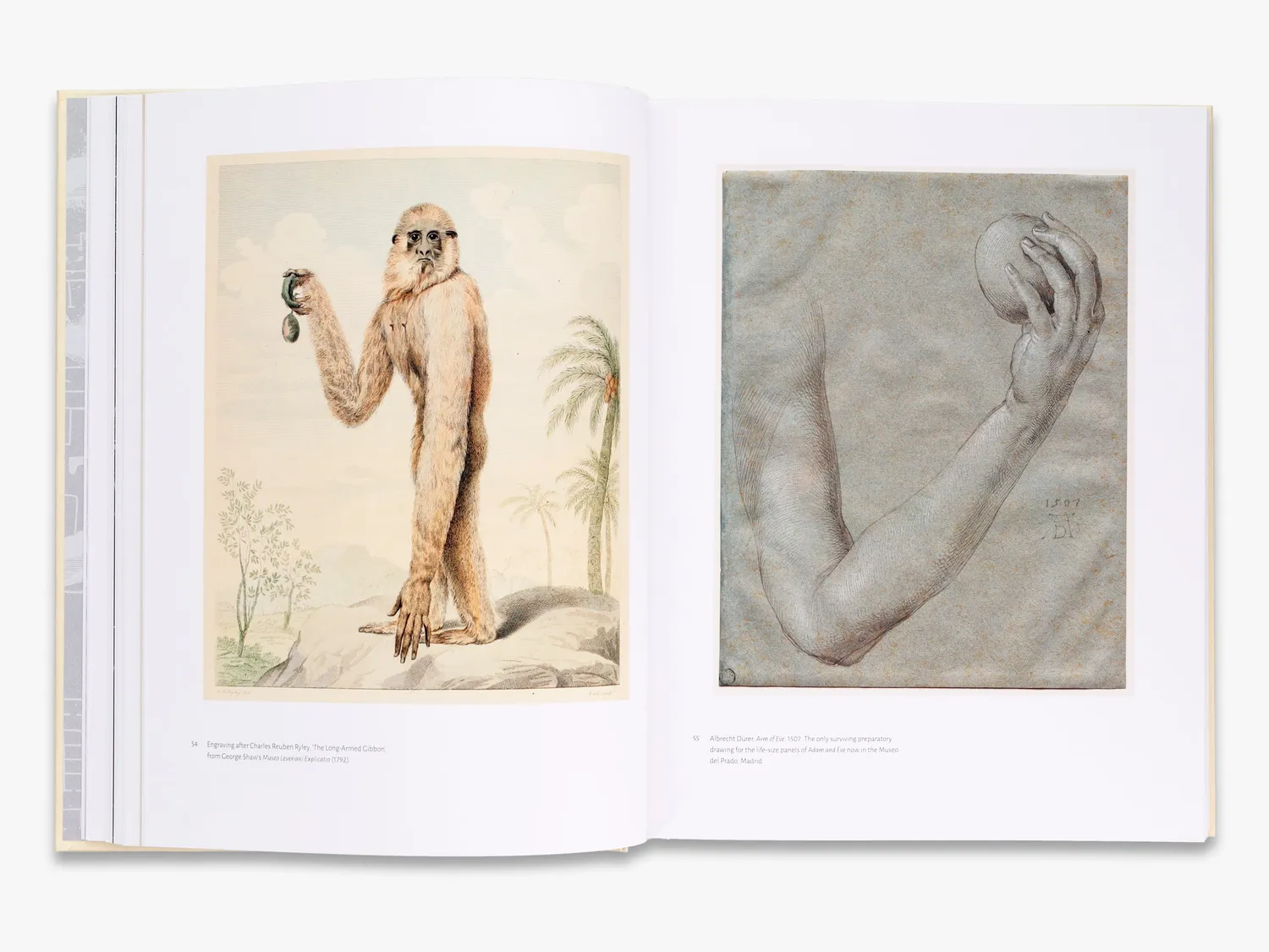 Thames & Hudson Affinities kunstbog 500 værker