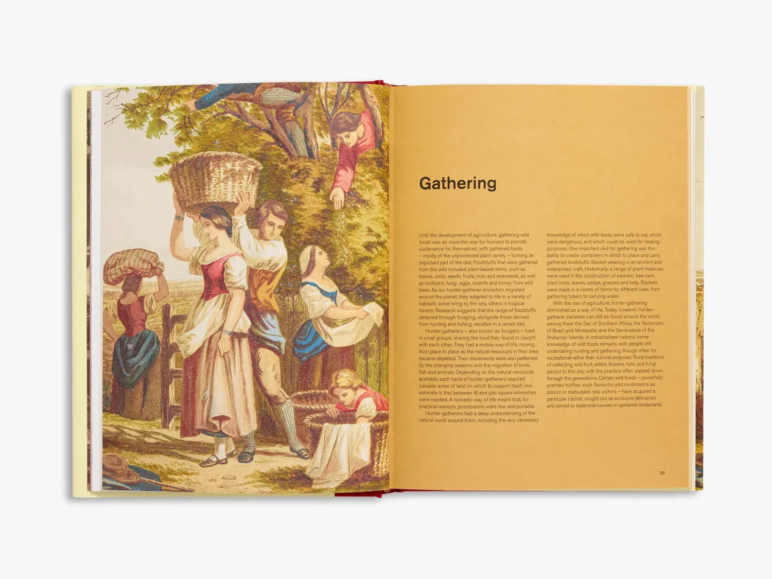 Thames & Hudson Repast bog illustreret madhistorie