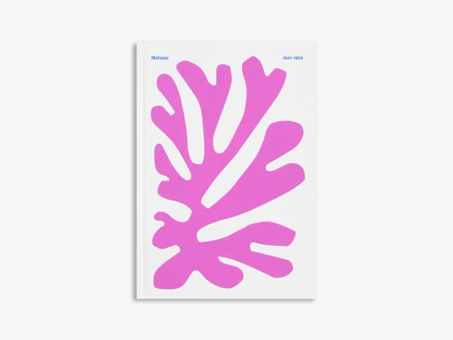 Thames & Hudson Colour Unbound Matisse kunstbog