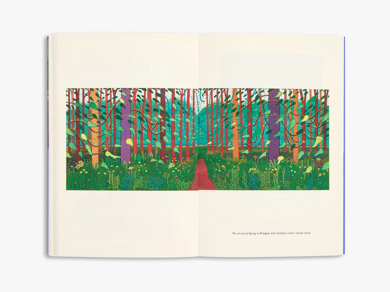 Thames & Hudson A Bigger Message kunstbog Hockney