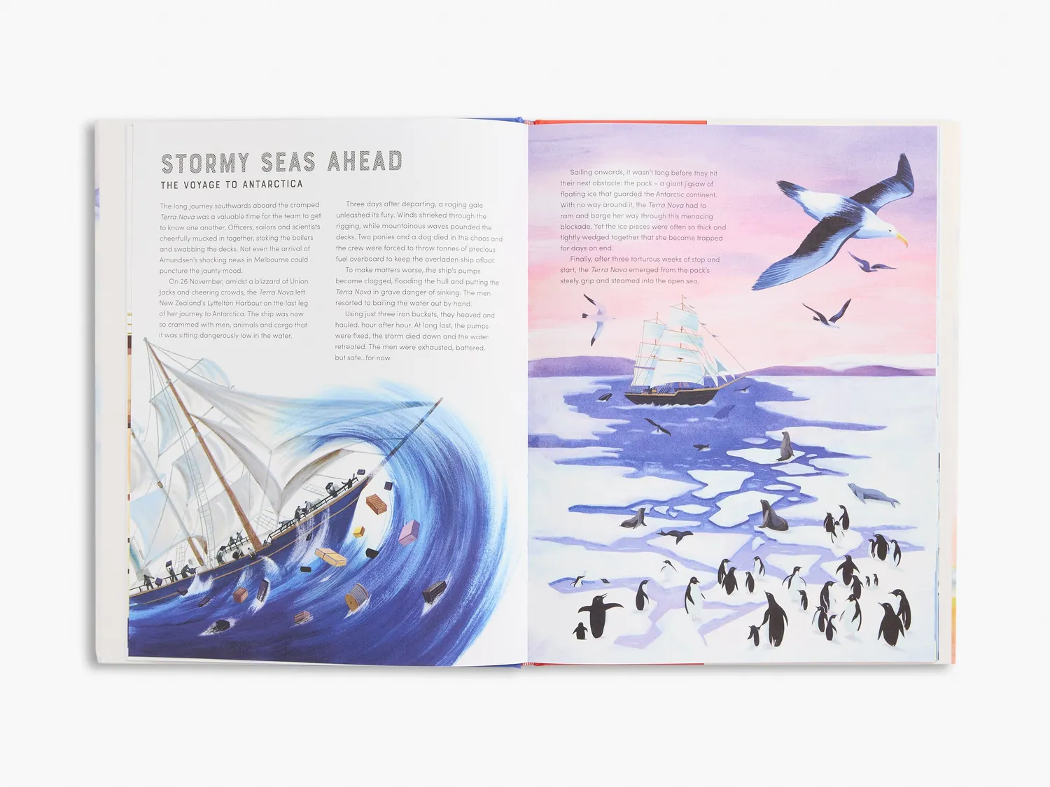 Thames & Hudson Race to the South Pole børnebog