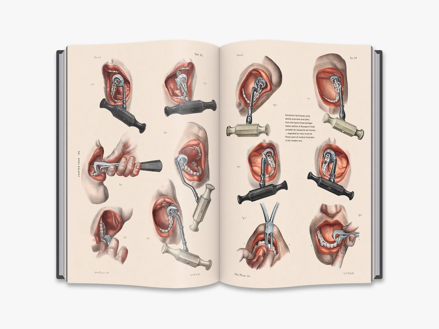 Thames & Hudson Smile Stealers fagbog illustreret
