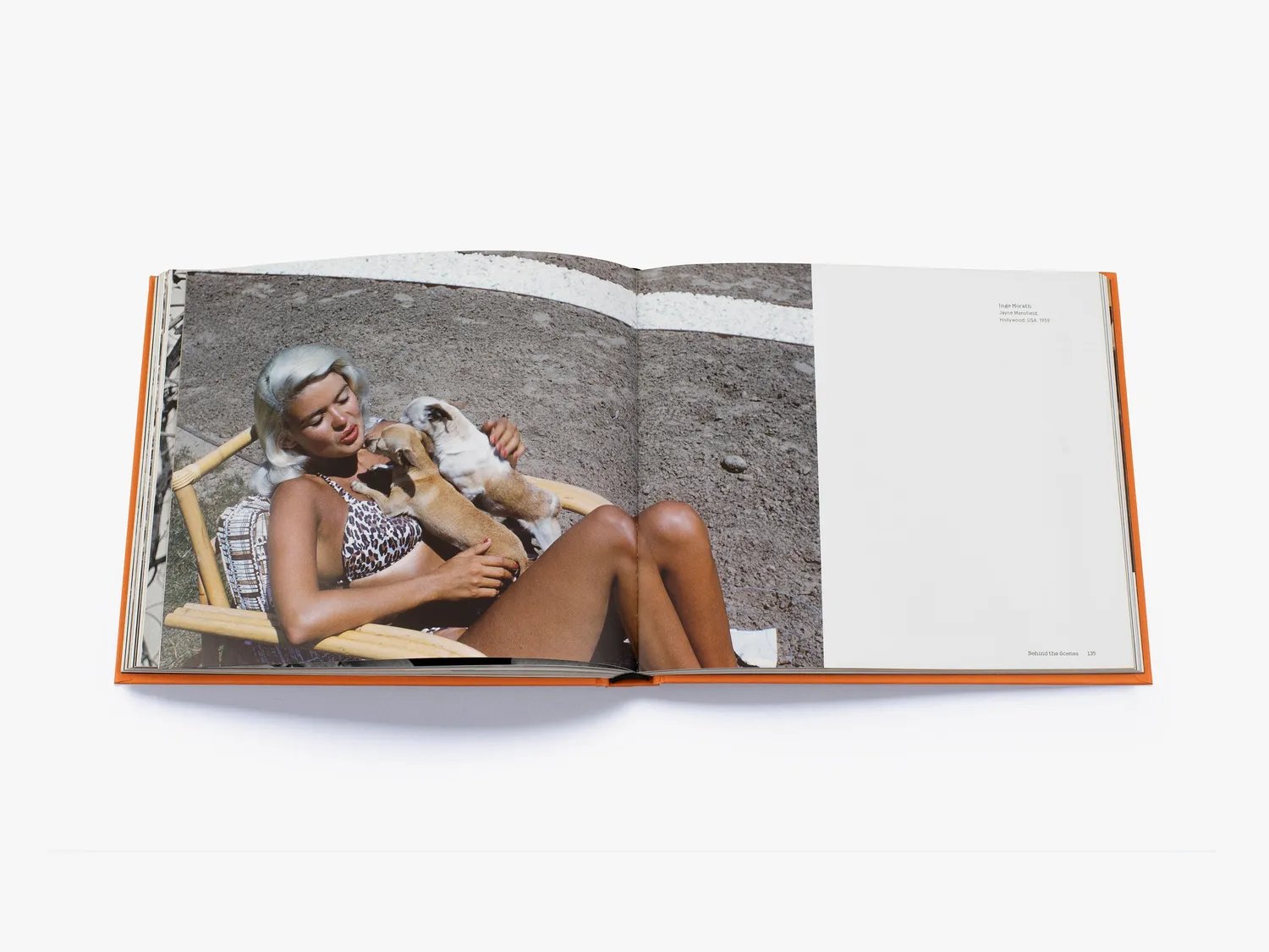 Thames & Hudson Magnum Dogs fotobog hundebilleder
