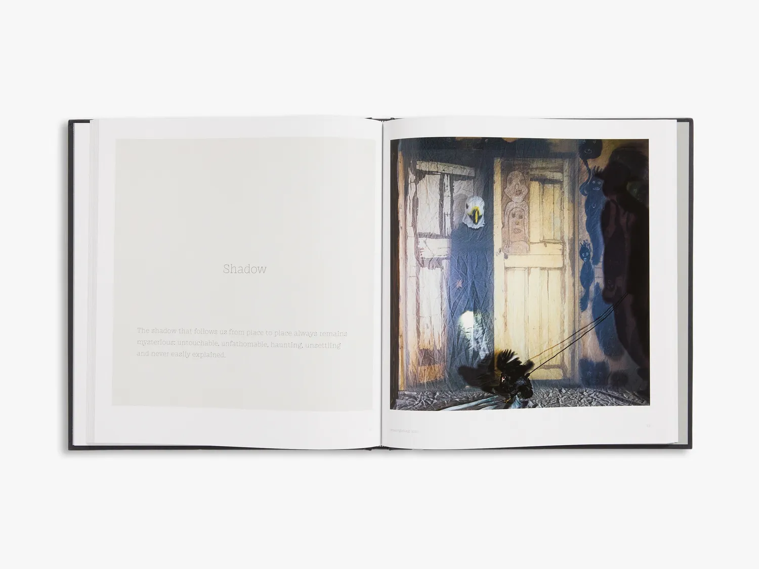 Thames & Hudson Roger Ballen Spirits Spaces fotobog farve